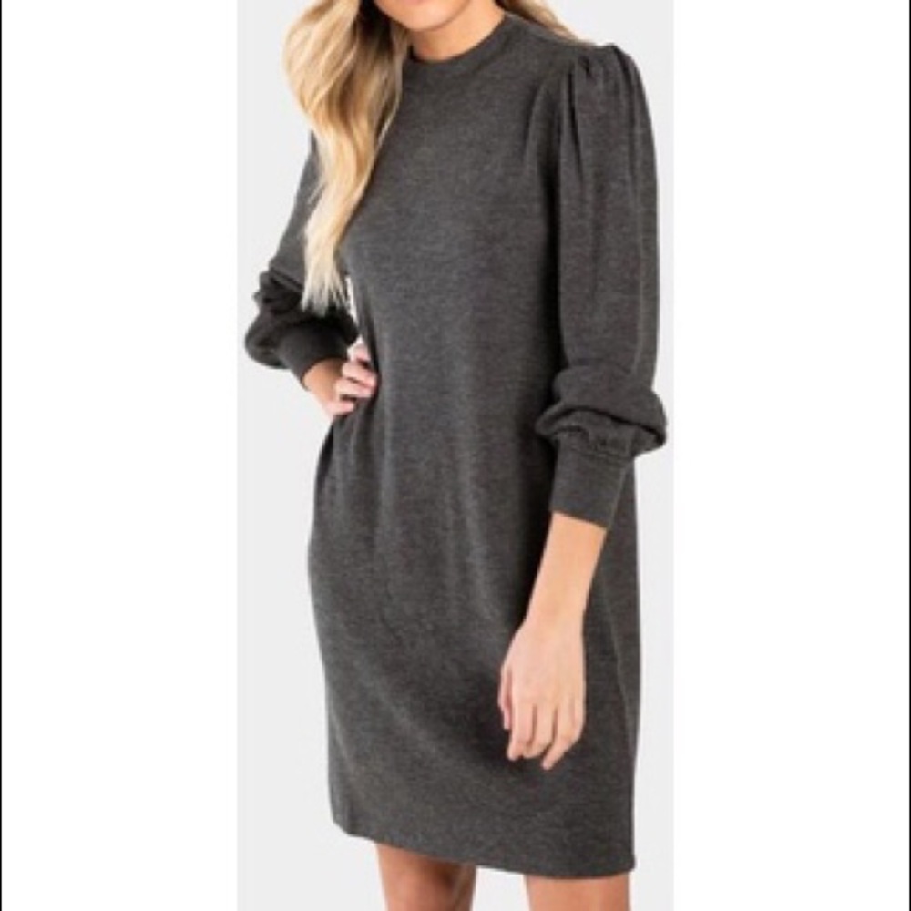 NWT Sophia Long Sleeved Shirt Dress Size M